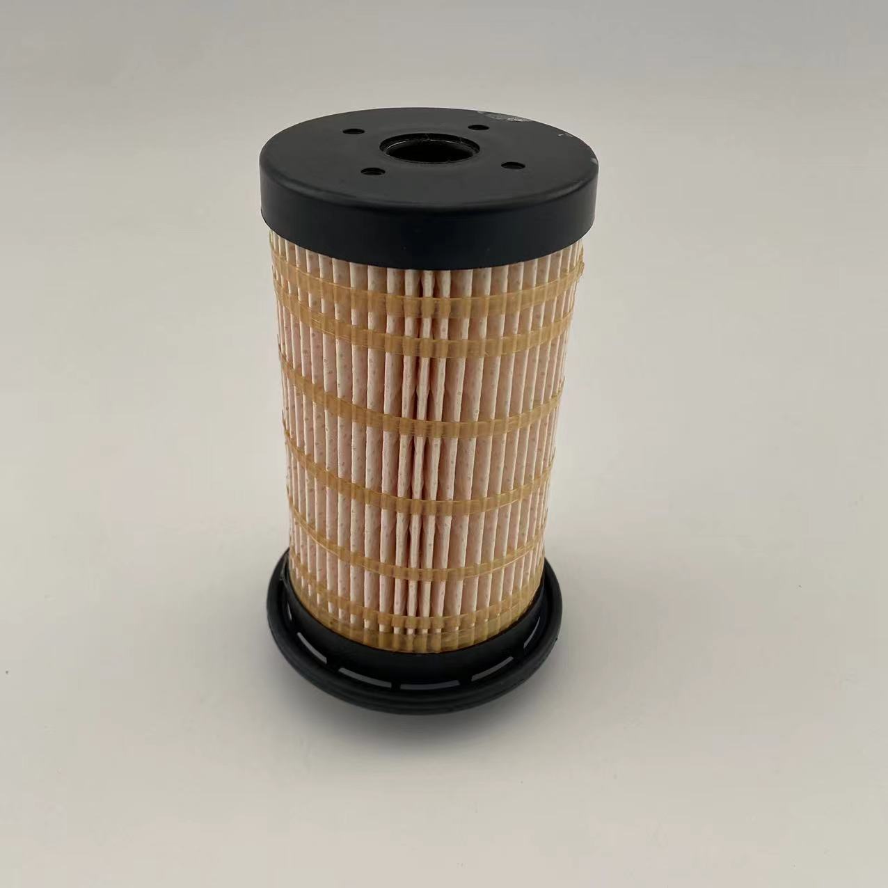 Fuel filter 509-5694/5095694 for carter