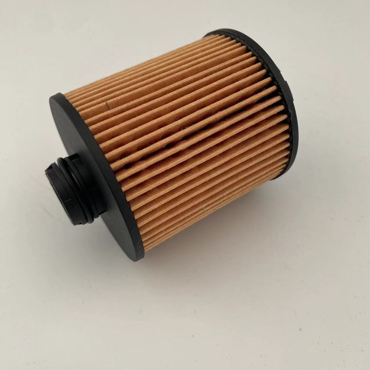 Oil filter 1017110XEN01/CE161000165 for great wall/Haval/Peugeot