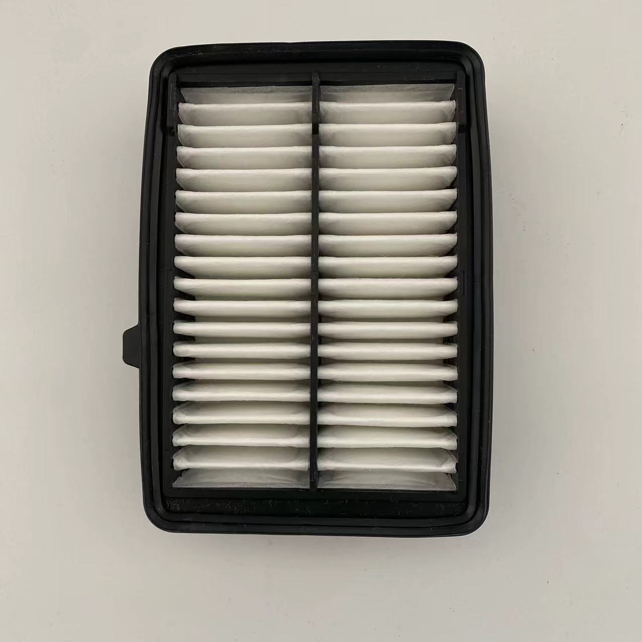 Air filter 17220-5R0-008
