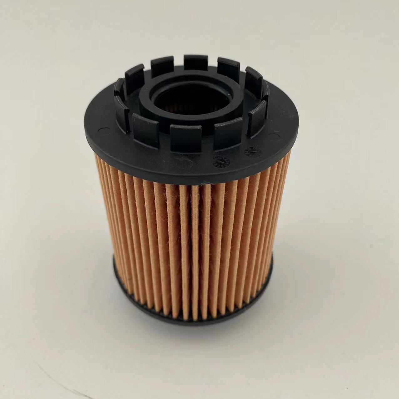 Oil filter 1017110XEN01/CE161000165 for great wall/Haval/Peugeot