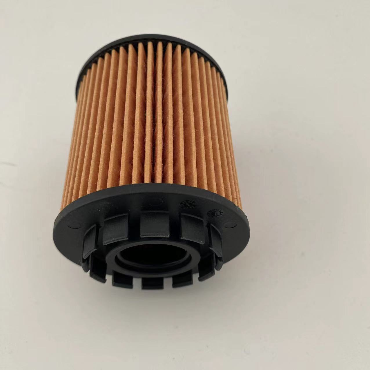 Oil filter 1017110XEN01/CE161000165 for great wall/Haval/Peugeot