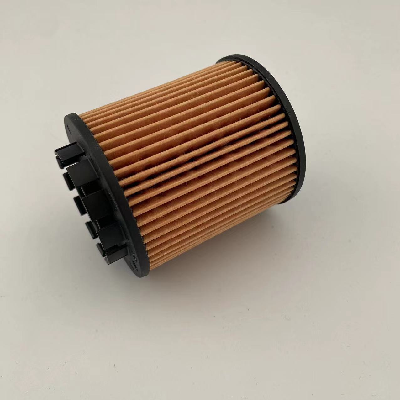 Oil filter 1017110XEN01/CE161000165 for great wall/Haval/Peugeot
