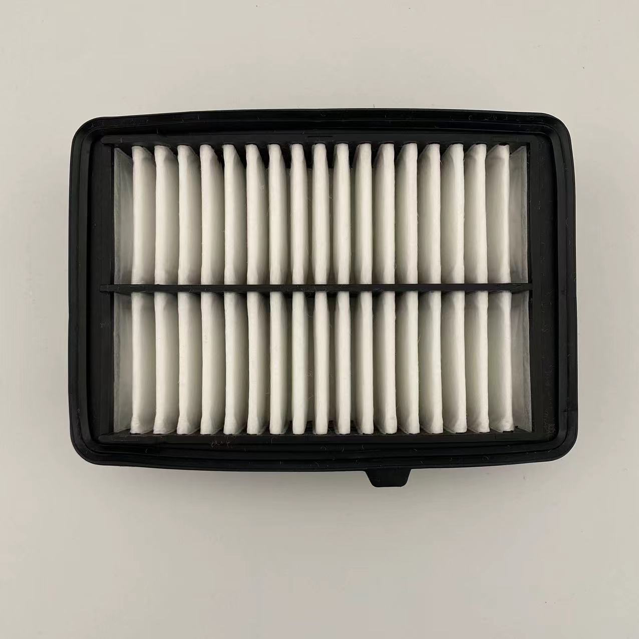 Air filter 17220-5R0-008
