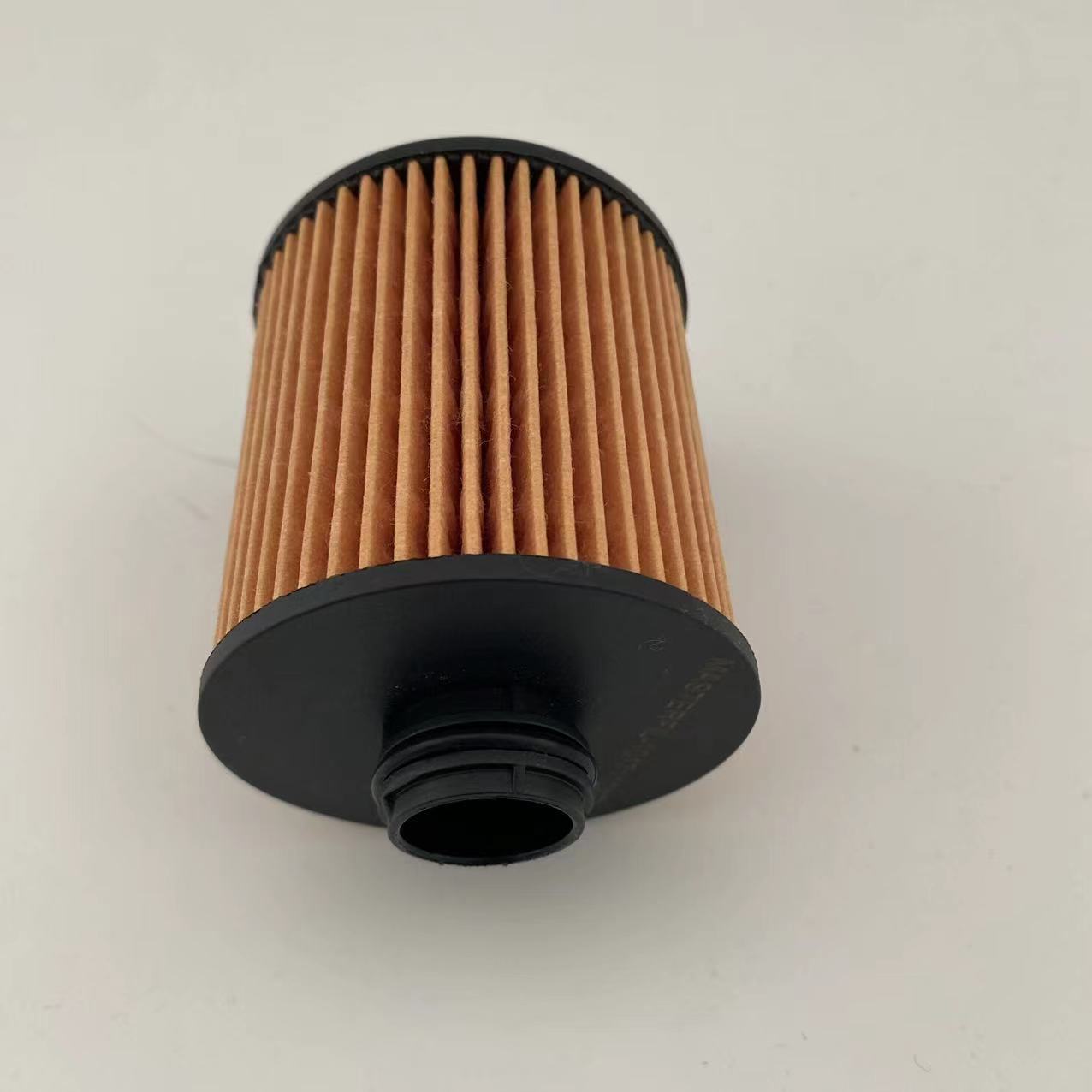 Oil filter 1017110XEN01/CE161000165 for great wall/Haval/Peugeot