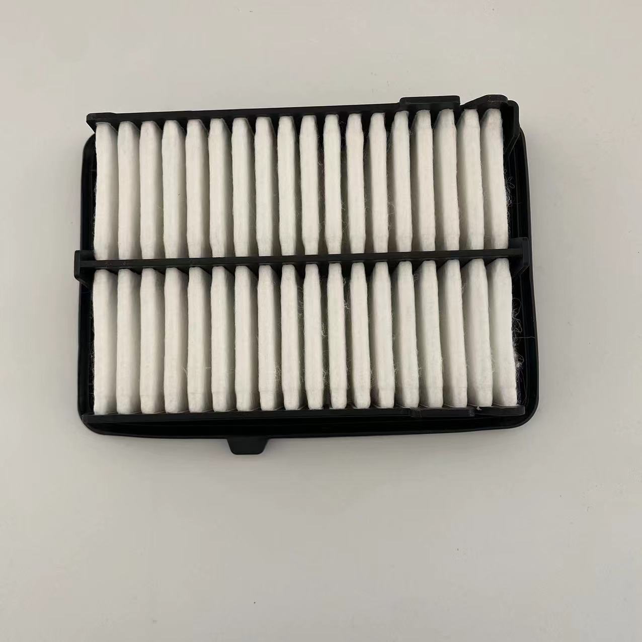 Air filter 17220-5R0-008