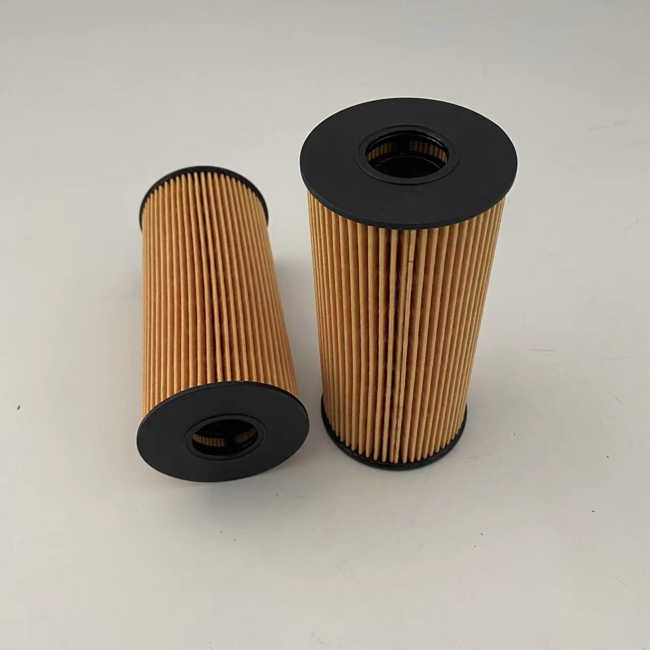 Oil Filters 1012014-FD2301