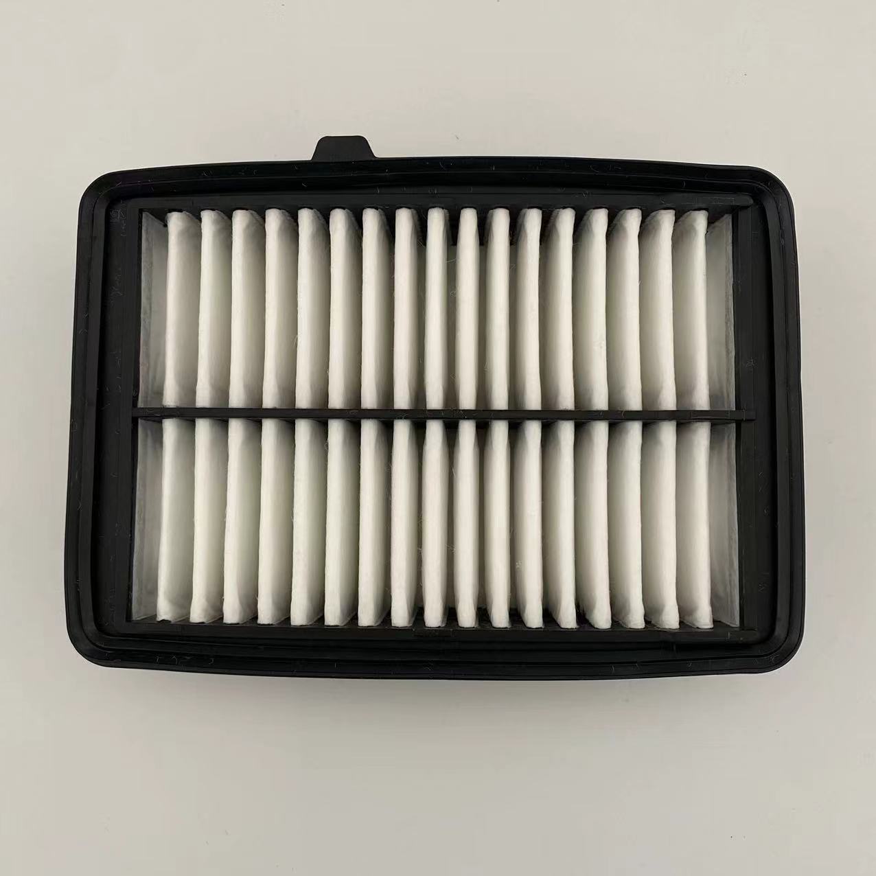 Air filter 17220-5R0-008
