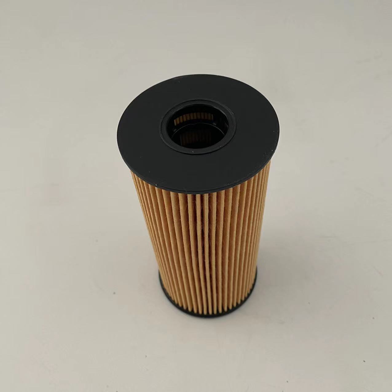 Oil Filters 1012014-FD2301